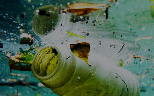 Bedrückend: Jedes Jahr landen über 25 Millionen Tonnen Plastikabfälle im Meer