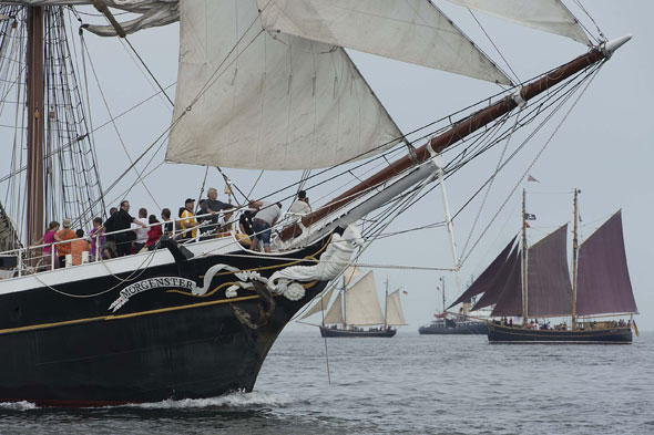 30.000 Mitsegler nutzten während der 23. Hanse Sail die Angebote der Traditionssegler