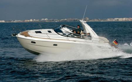 Bavaria Sport 31