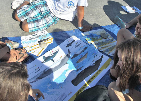 Bei diversen Workshops wurde den Mirno-More-Kindern der Umweltschutz und dessen Bedeutung für die Meere näher gebracht