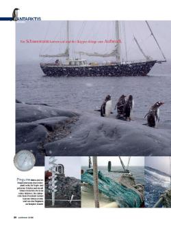 Antarktis-Törn, Seite 5 von 6