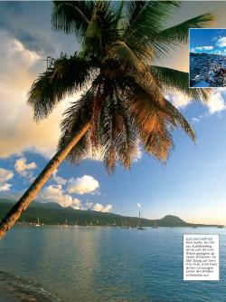 Kleine Antillen, Martinique, Seite 3 von 6
