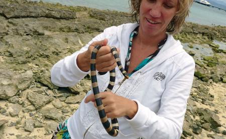 Wer ist gefährlicher? JDM oder die Schlange?