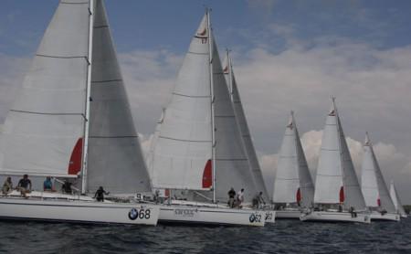 Wer wird heute die Nase vorne haben? Für Spannung ist gesorgt