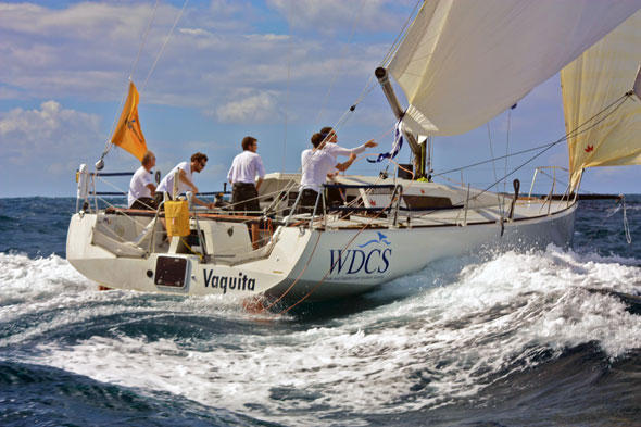 Die Vaquita-Crew segelte dank famoser Taktik am schnellten über den Atlantik