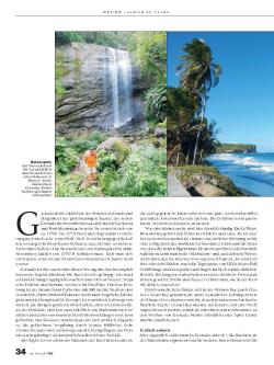 Großartiges Grenada , Seite 3 von 4