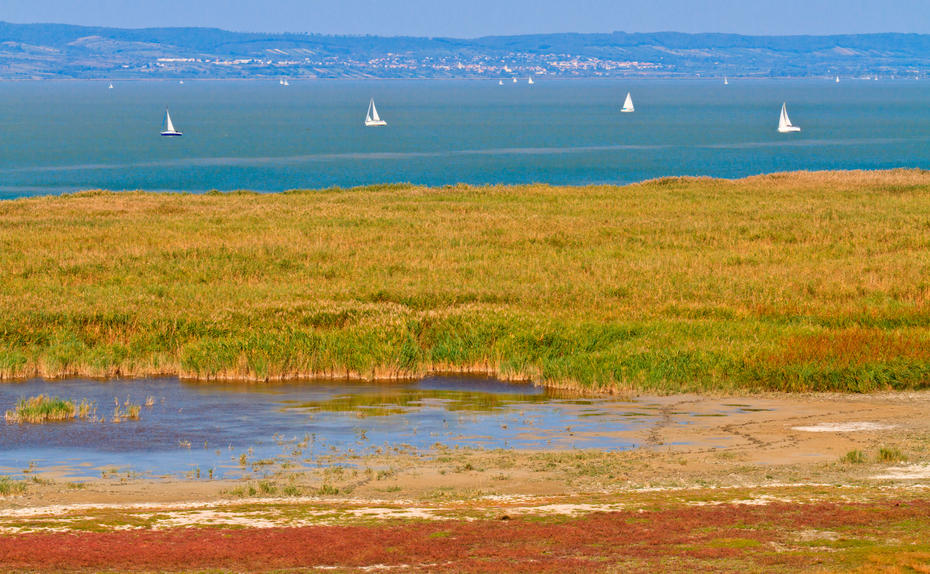 G’schichten vom Neusiedler See